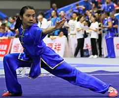 Photo of Wushu competitor