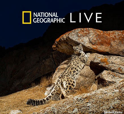 Photo of snow leopard on rocky hillside, at night with flash & Nat Geo Live logo