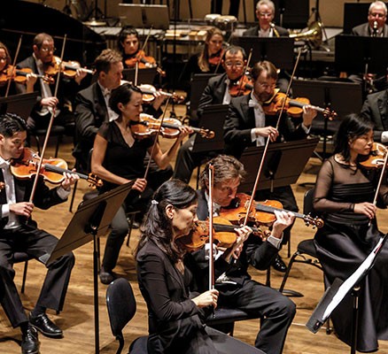 Group of violinist player together