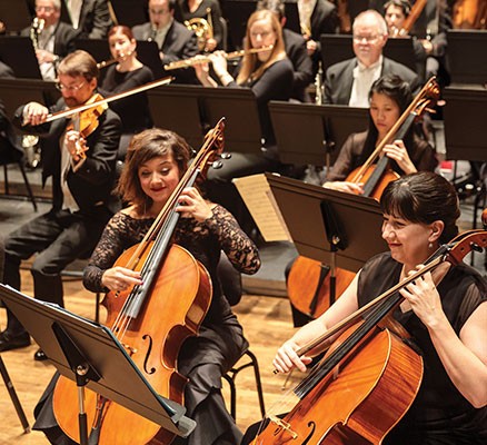 group of Cello players
