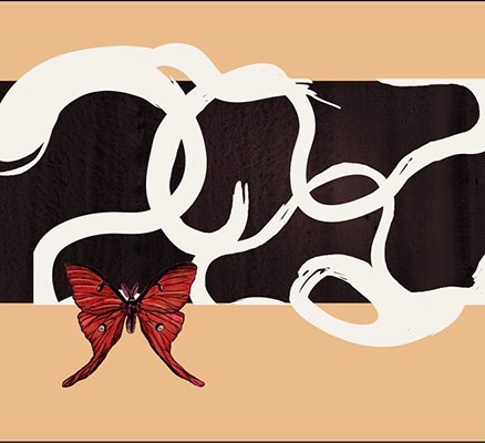 Illustration of butterfly on an abstract background