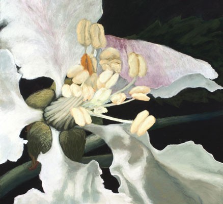 Britt Block, What a Bee Sees: Apple Blossom, 2022. Pastel on Paper, 54” x 45”.