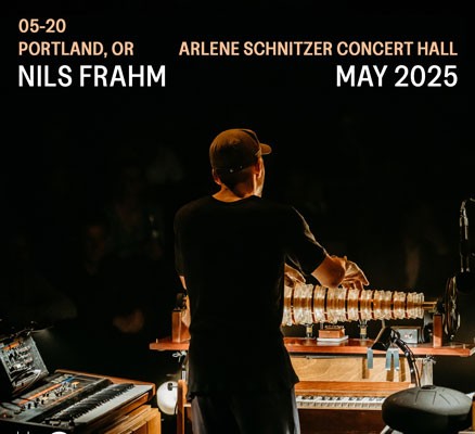 A photo of Nils Frahm, his back to the camera, playing a glass harmonica before a live audience