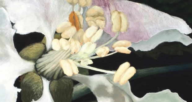 Britt Block, What a Bee Sees: Apple Blossom, 2022. Pastel on Paper, 54” x 45” (detail)