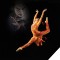 Photo of Jessica Lind dancing in firebird costume by Jingzi Zhao