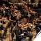 Group of violinist player together