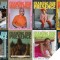 magazine_covers_of_portland_lgbtqia_artists
