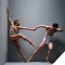 Photo of Complexions Contemporary Ballet female dancer and male dancer in pose