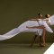 Photo of two Dance Theatre of Harlem dancers in pose